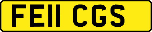 FE11CGS