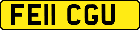 FE11CGU