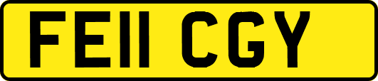 FE11CGY