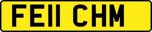 FE11CHM