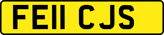 FE11CJS