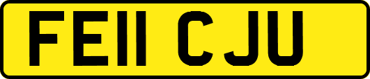 FE11CJU