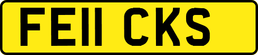 FE11CKS