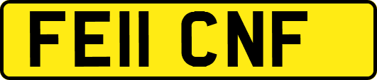 FE11CNF