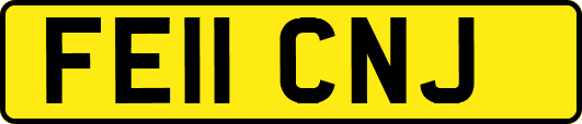 FE11CNJ