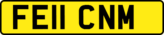 FE11CNM