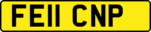 FE11CNP