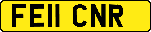 FE11CNR