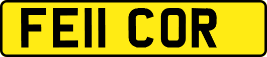 FE11COR