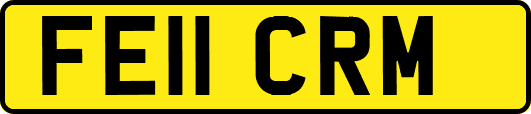 FE11CRM