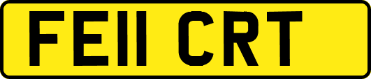 FE11CRT