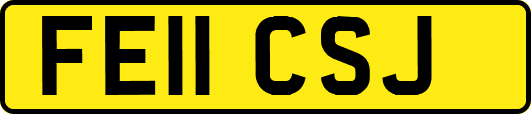 FE11CSJ