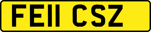 FE11CSZ