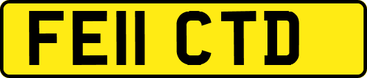 FE11CTD