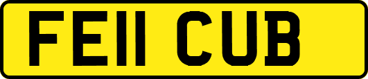 FE11CUB