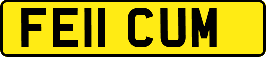 FE11CUM