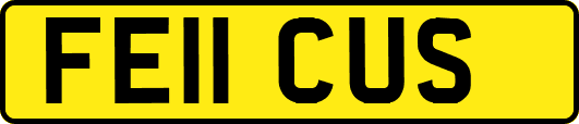 FE11CUS