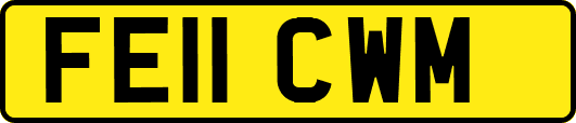 FE11CWM