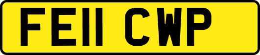 FE11CWP