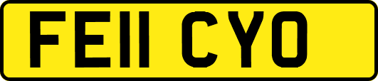 FE11CYO