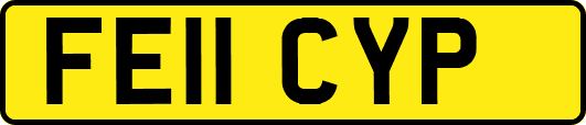 FE11CYP