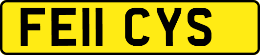 FE11CYS