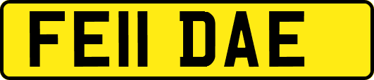 FE11DAE