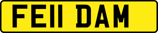 FE11DAM