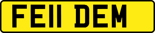 FE11DEM