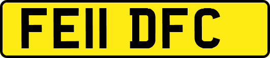 FE11DFC