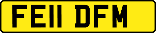 FE11DFM