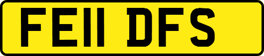FE11DFS