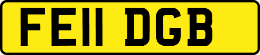 FE11DGB