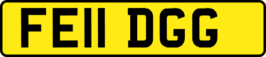 FE11DGG