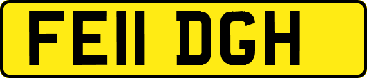 FE11DGH
