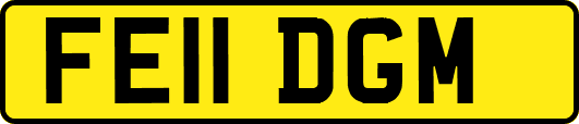 FE11DGM