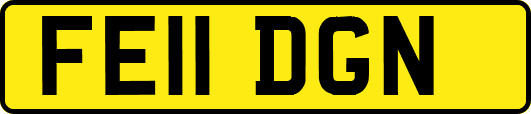 FE11DGN