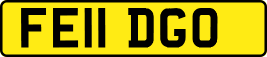 FE11DGO
