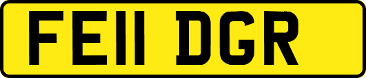 FE11DGR