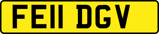 FE11DGV