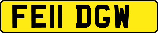 FE11DGW