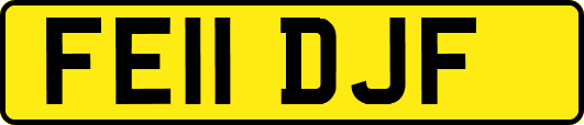 FE11DJF