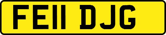 FE11DJG