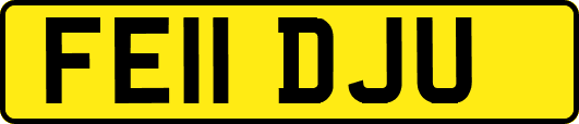 FE11DJU