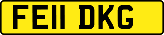 FE11DKG