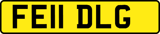 FE11DLG