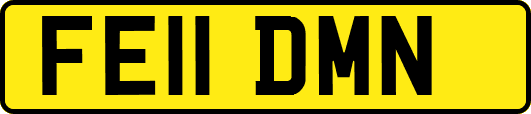 FE11DMN