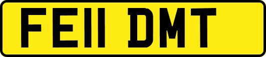 FE11DMT