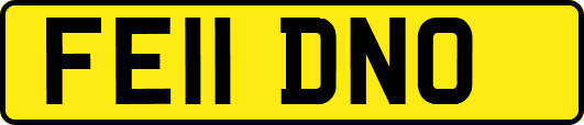 FE11DNO