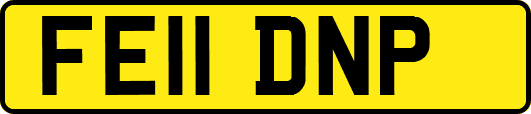 FE11DNP